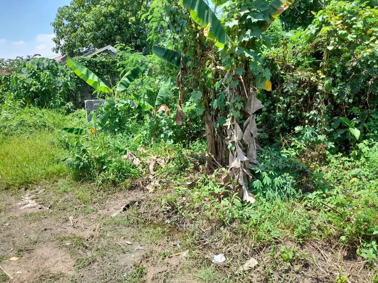 Tanah Developer Ready ,  perizinan lengkap siap jalan foto 2