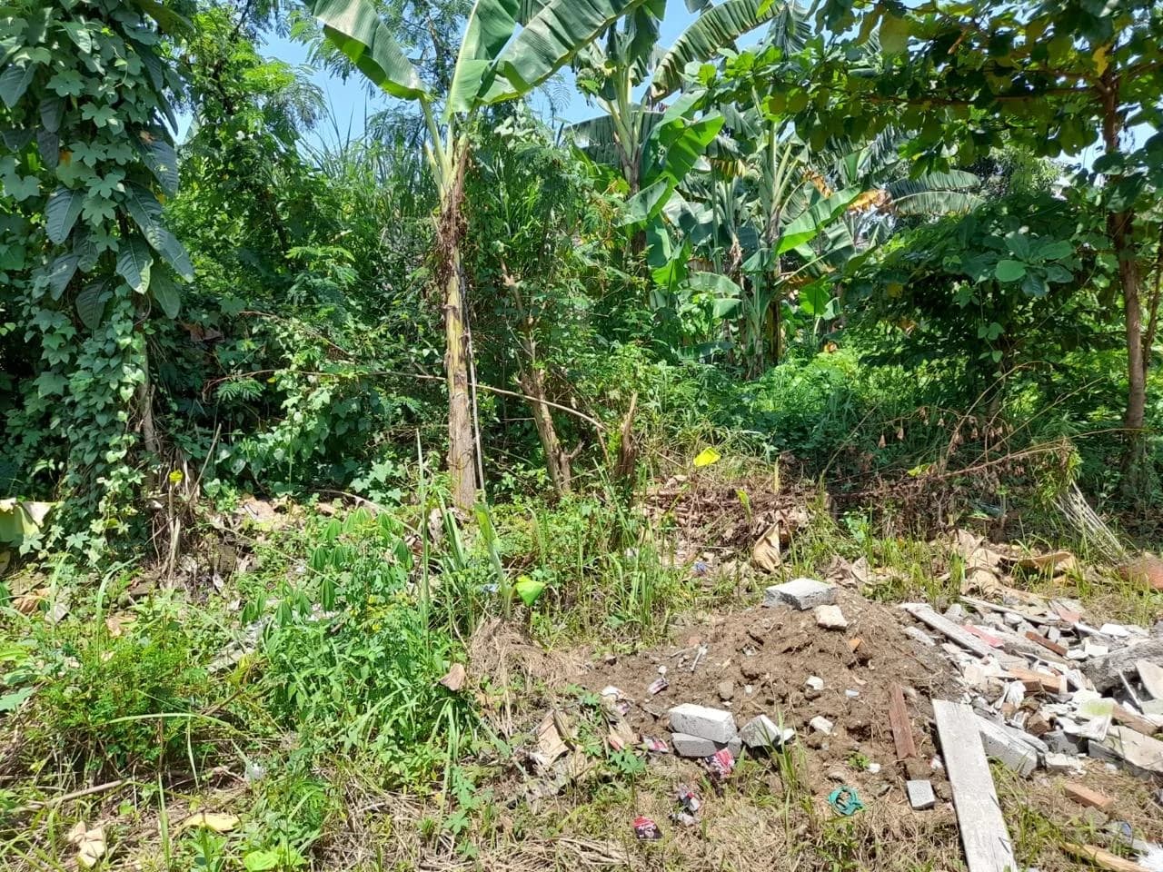 Tanah Developer Ready ,  perizinan lengkap siap jalan foto 3
